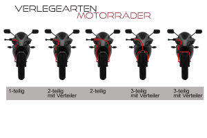 Stahlflex Bremsleitung f&uuml;r Ducati 1098 + S + Tricolore Vorne+Hinten (07-08) [H7]
